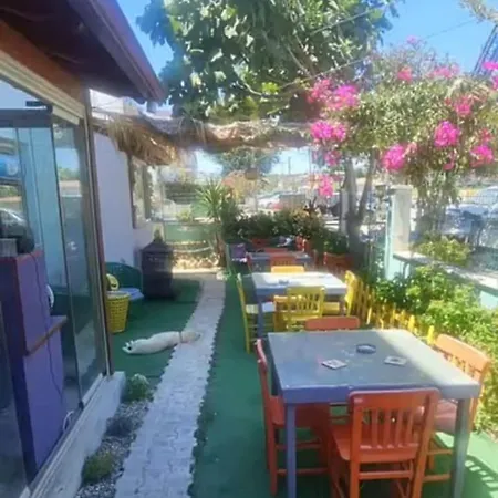 Neseli Bahce Cafe 세페리히사르