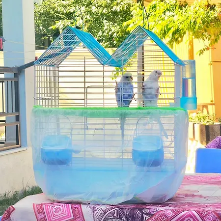 Apart Otel Neşelı Bahçe Cafe Seferihisar