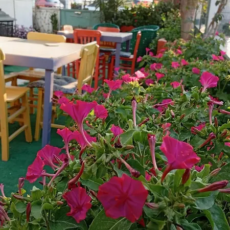 Neşelı Bahçe Cafe *