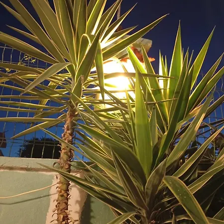 Neseli Bahce Cafe * 세페리히사르