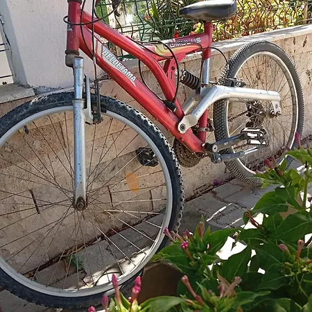 Lägenhetshotell Neseli Bahce Cafe