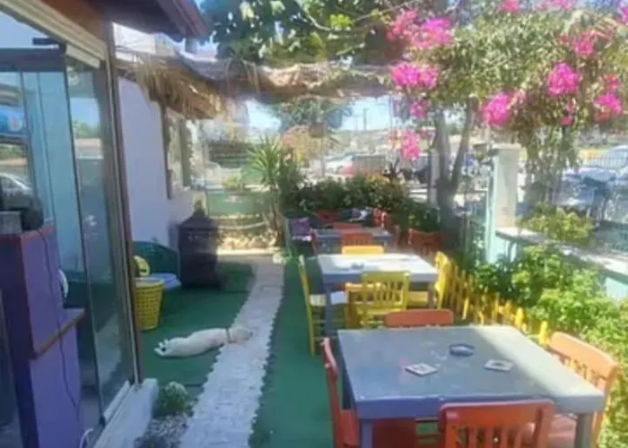 Neseli Bahce Cafe Seferihisar