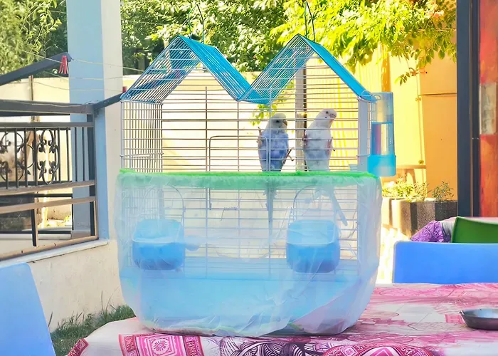 Apartmanhotel Neseli Bahce Cafe Seferihisar