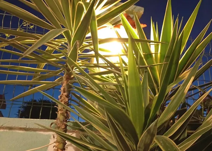 Neseli Bahce Cafe * Seferihisar