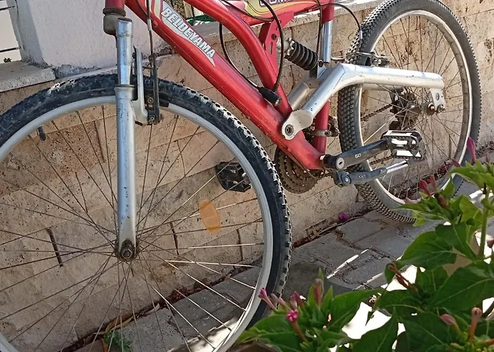 Apartmanhotel Neseli Bahce Cafe